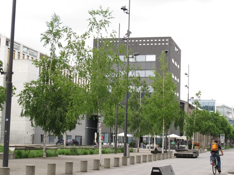 FBU 2010 Bale et Zurich 280