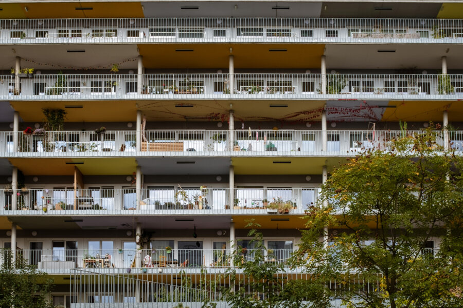 sans titre-8